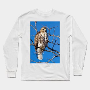 Cooper's Hawk Long Sleeve T-Shirt